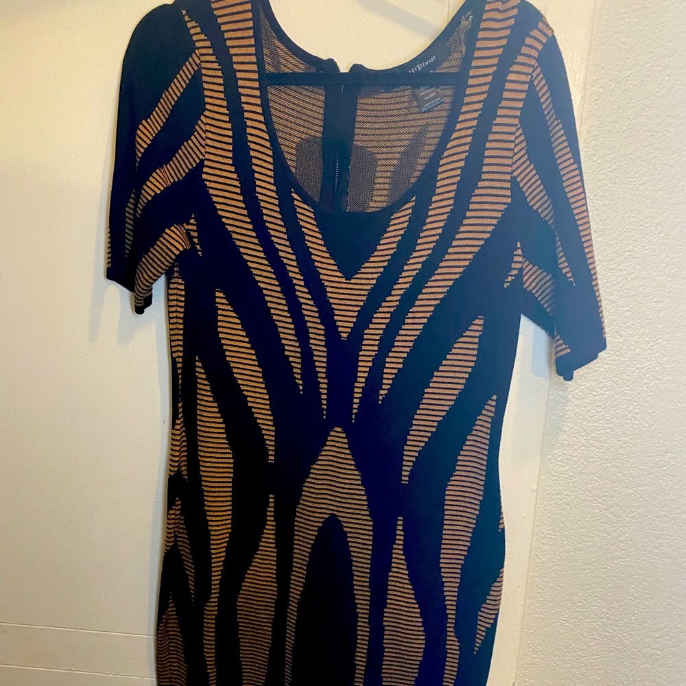 Plus size Ashley Stewart dress